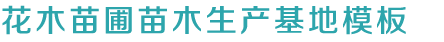 九游会·J9 - 中国官方网站-真人游戏第一品牌